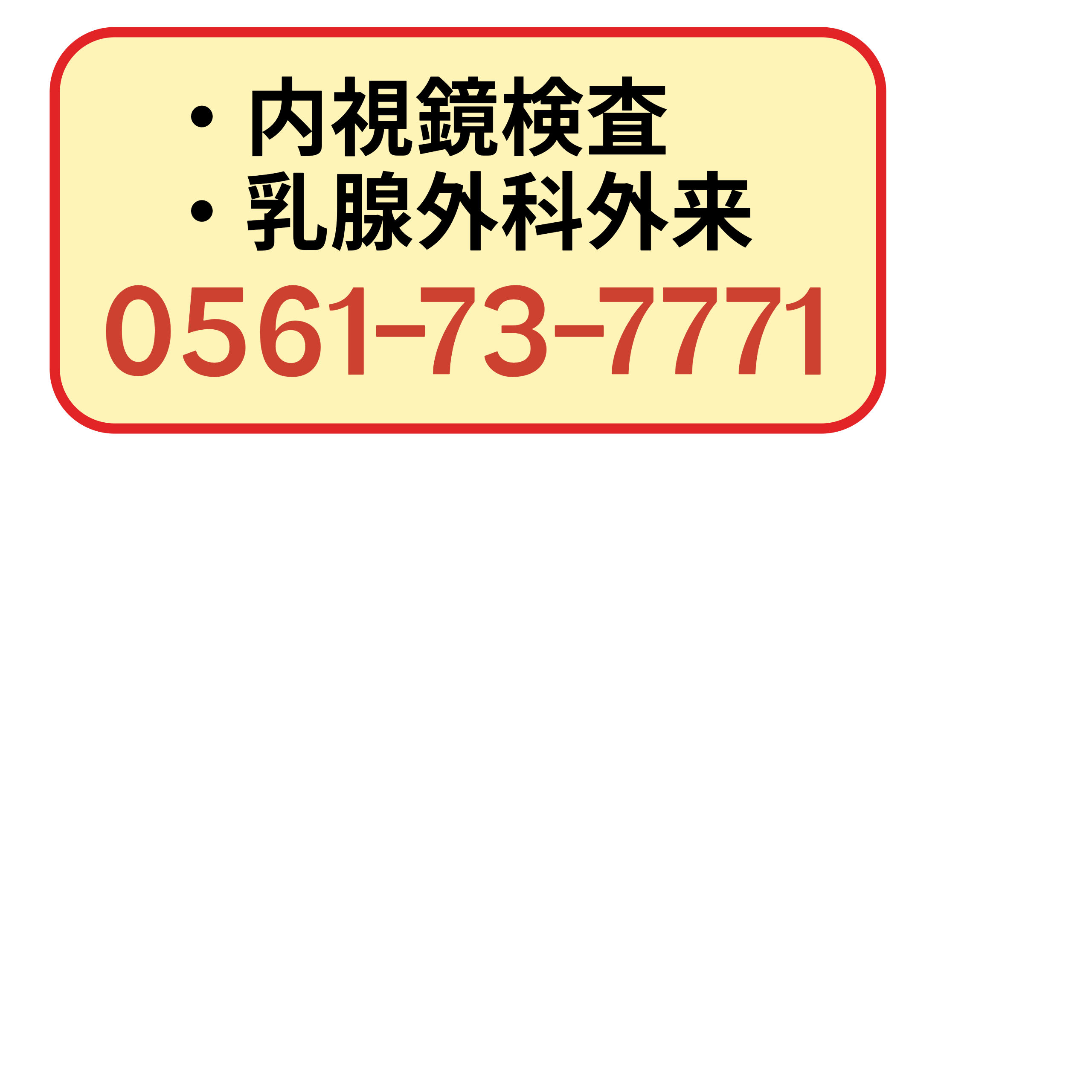 内視鏡検査・乳腺外科外来　月曜から金曜の9時から13時まで、土曜の9時から11時まで。日祝対応不可。0561-73-7771